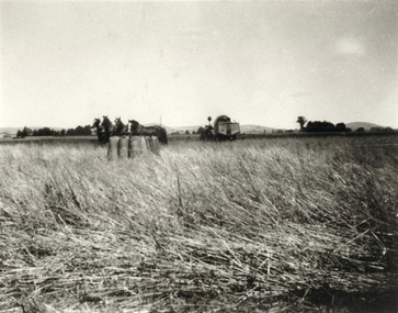 IMAGE REPRODUCED BY CLUNES MUSEUM
