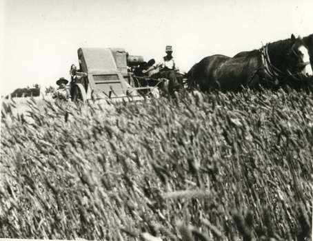 IMAGE REPRODUCED BY CLUNES MUSEUM