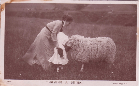 THIS IMAGE PRODUCED BY CLUNES MUSEUM