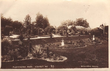 POSTCARD, REAL PHOTOGRAPH, BY T.R. WILLIAMS ARARAT
