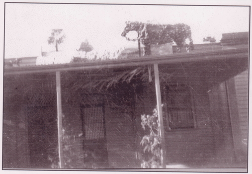 IMAGE REPRODUCED BY CLUNES MUSEUM