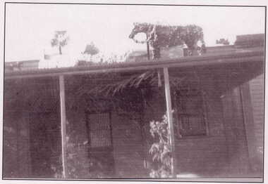 IMAGE REPRODUCED BY CLUNES MUSEUM