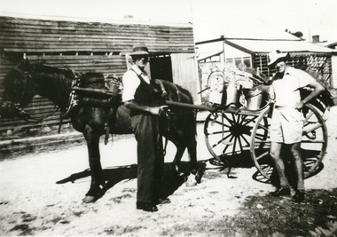 Photograph
