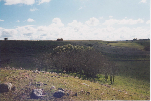 IMAGE REPRODUCED BUY CLUNES MUSEUM