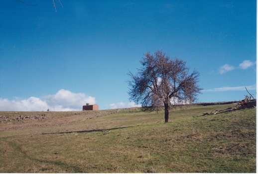 IMAGE REPRODUCED BY CLUNES MUSEUM