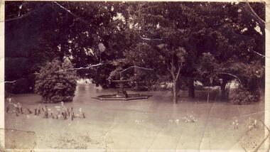 IMAGE PRODUCED BY CLUNES MUSEUM