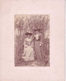 Photograph