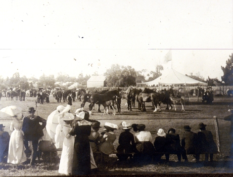 IMAGE REPRODUCED BY CLUNES MUSEUM