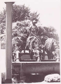 IMAGE REPRODUCED BY CLUNES MUSEUM