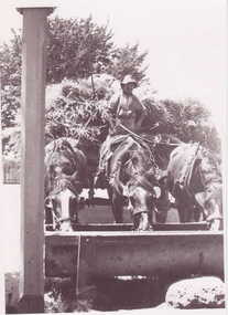 IMAGE REPRODUCED BY CLUNES MUSEUM