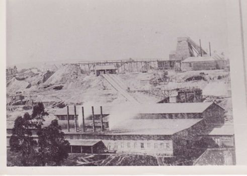 IMAGE REPRODUCED BY CLUNES MUSEUM