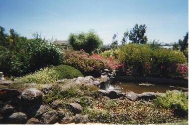 Photograph, 1998