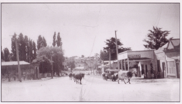 THIS IMAGE REPRODUCED BY CLUNES MUSEUM