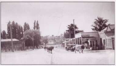 THIS IMAGE REPRODUCED BY CLUNES MUSEUM