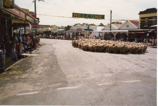 IMAGE PRODUCED BY CLUNES MUSEUM
