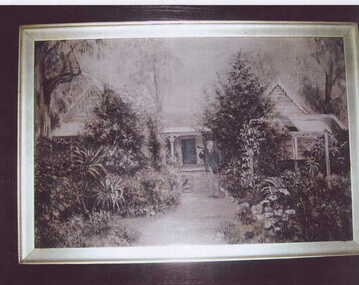 Photograph