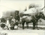 IMAGE REPRODUCED BY CLUNES MUSUEM