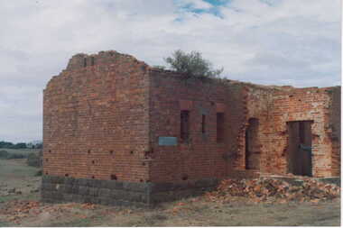Photograph
