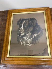 REPRODUCED BY CLUNES MUSEUM