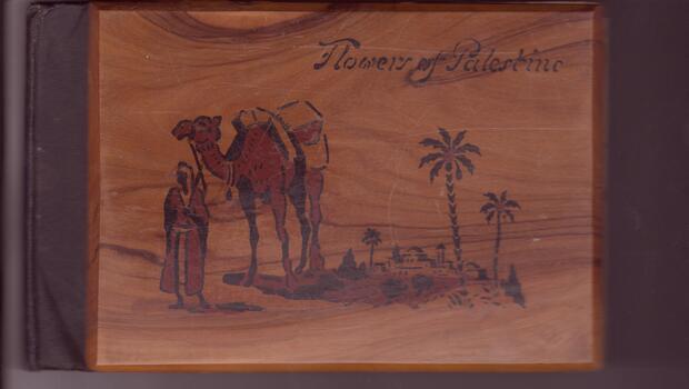 THIS IMAGE PRODUCED BY CLUNES MUSEUM
