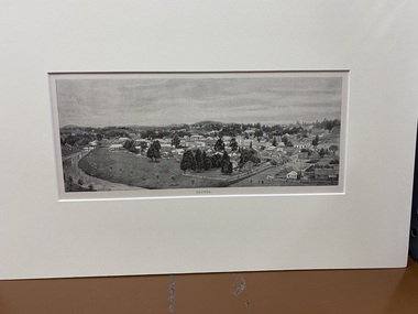 Print, W C  FITLER, CLUNES
