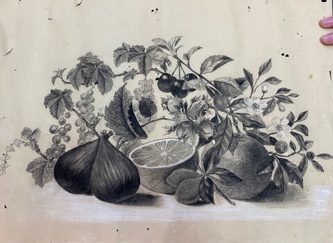 IMAGE REPRODUCED BY CLUNES MUSEUM