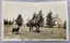 IMAGE REPRODUCED BY CLUNES MUSEUM