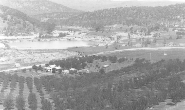 Farm house surrounded by orchard on one side, with large pond behind it.