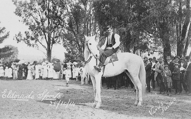 Man wearing waistcoat and white shirt sitting on white horse in from of crowd.
