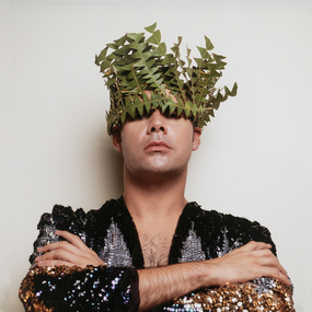 Photograph - Untitled (Banksia leaf), THOMPSON, Christian, 2007