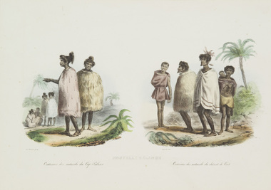 Print, De Sainson, Louis (after), Nouvelle Zelande, 1835