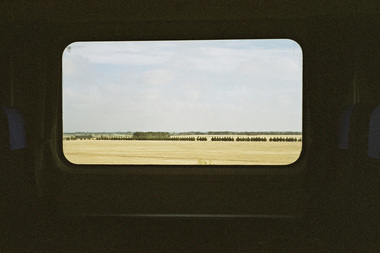 Photograph, Dickinson, Alistair, One Day in Sale #1, 2009