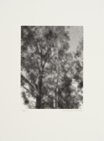 Print, Duxbury, Lesley, Carbon, 2013