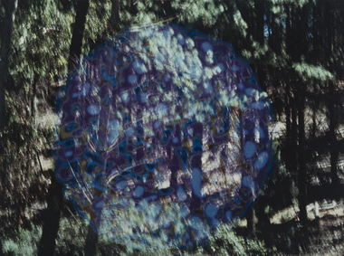 Photograph, Eden, Ron, Blue Turning Green, 1983/1996