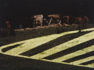 Photograph, Eden, Ron, Dairy Parking, 1983/1996