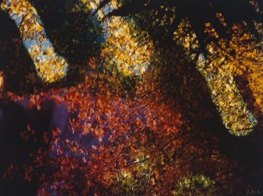 Photograph, Eden, Ron, Sale Autumn, 1983/1996