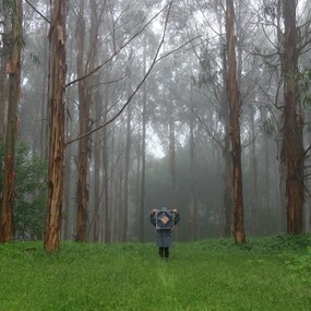 Photograph, Farago, Anna, Return to the Patch, 2015