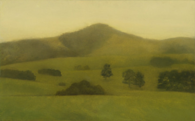 Painting, Gibbs, Linda, Yellow Hoddle, 2009
