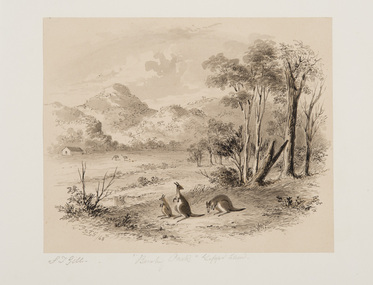 Work on Paper, Gill, Samuel Thomas, Bushy Park, Gipps Land, 1868