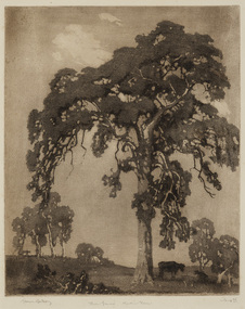 Print, Lindsay, Lionel, The Great Red Gum, 1922