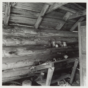 Photograph, Treasure's Hut, Mount Ewan, 1995