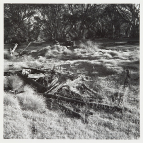 Photograph, Oldfield, David, Young's Run, Mount Jim, 1993