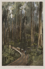 Print, Schell, Frederic B, Log Tramway, Gippsland, c.1886
