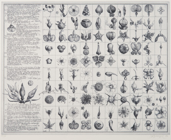 Print, Schmeisser, Jorg, Diary and 100 Buds, 1984