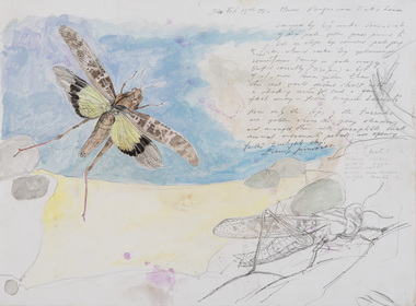 Work on Paper, Wolseley, John, Locust II, 1978