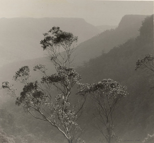 Photograph, Norman DECK, The Fitzroy Ravine, 1963