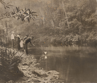 Photograph, Norman DECK, Hazelbrook, Blue Mountains, 1894