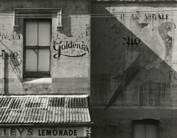 Photograph, Mark JOHNSON, Annandale, 1978