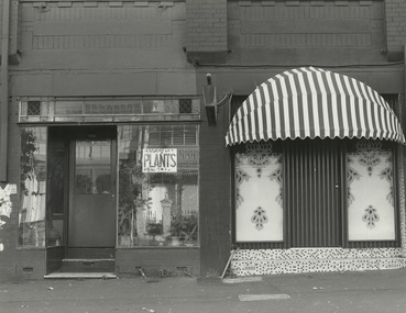 Photograph, Mark JOHNSON, Surry Hills, 1978