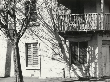 Photograph, Mark JOHNSON, Untitled (tree and shadow), 1979